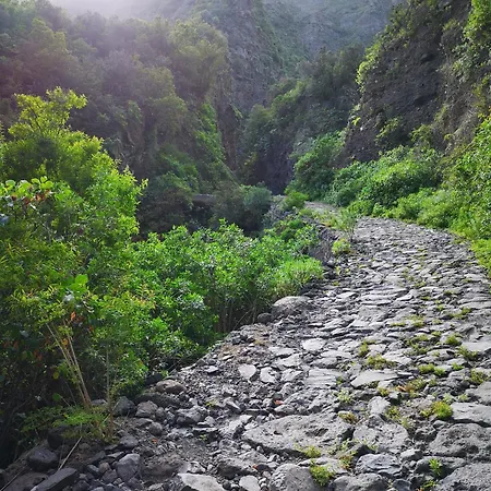 Casa Carla 아파트 산타크루스데 테네리페